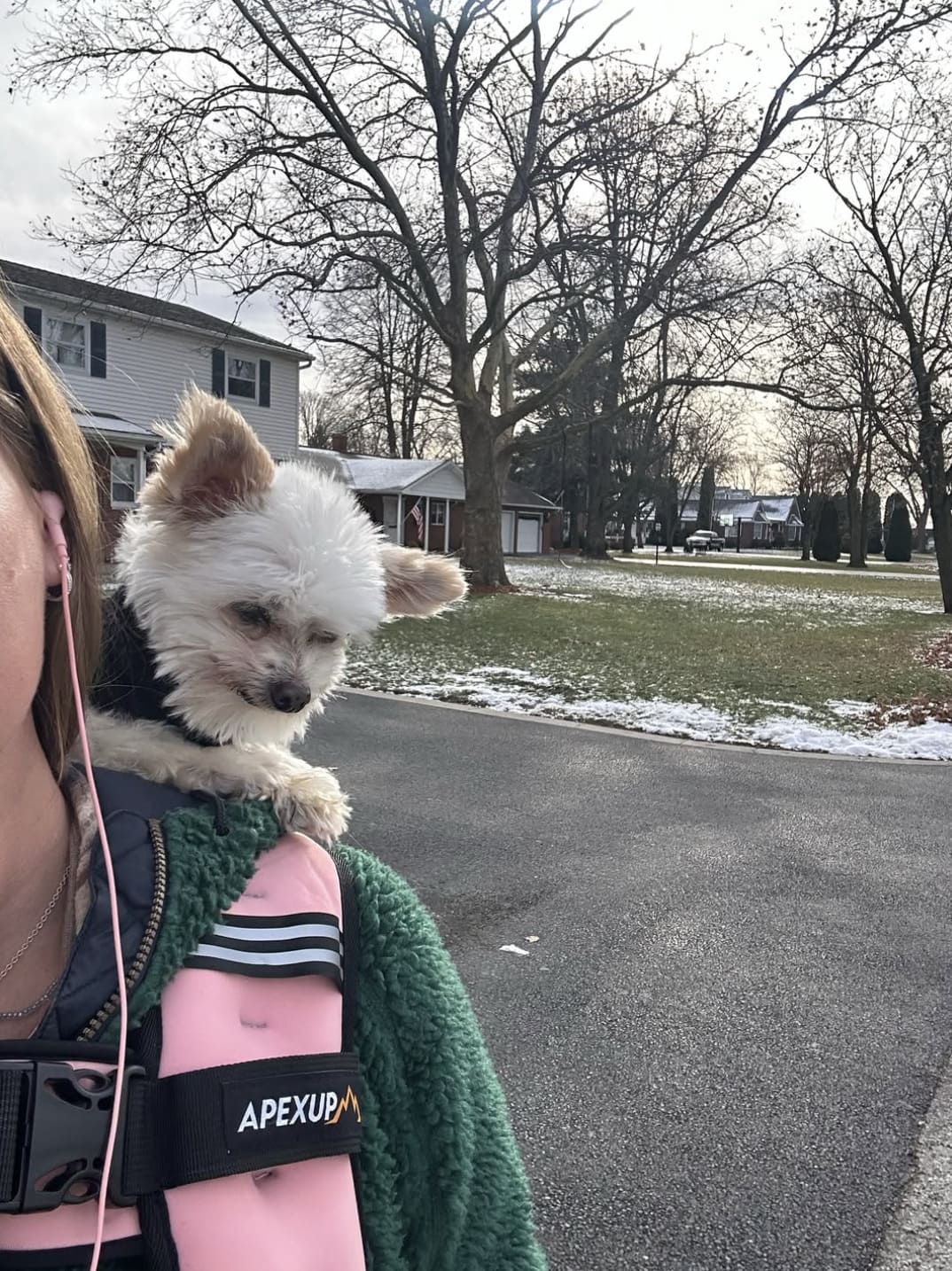 Residential street near 4145 W 219th St - Fairview Park